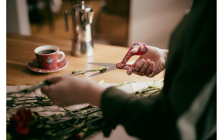 Actual product image Fiskars FXI žirklės 21 cm Taika red (21 cm)