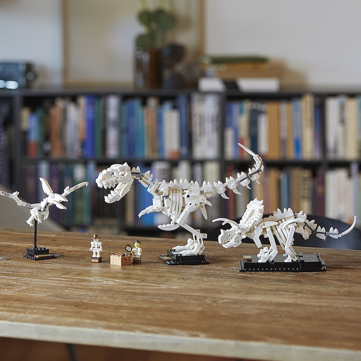 Produktbild LEGO Dinosaurier-Fossilien (21320, LEGO Ideas)
