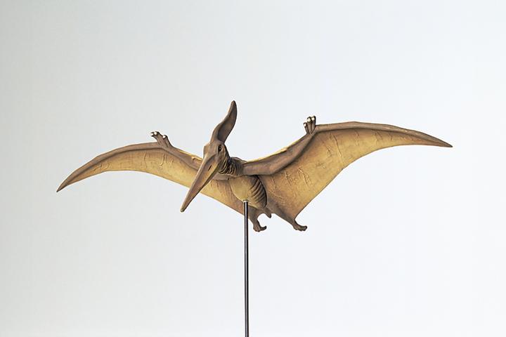 Actual product image Tamiya 300060204 - 1:35 Dino. Pteranodon