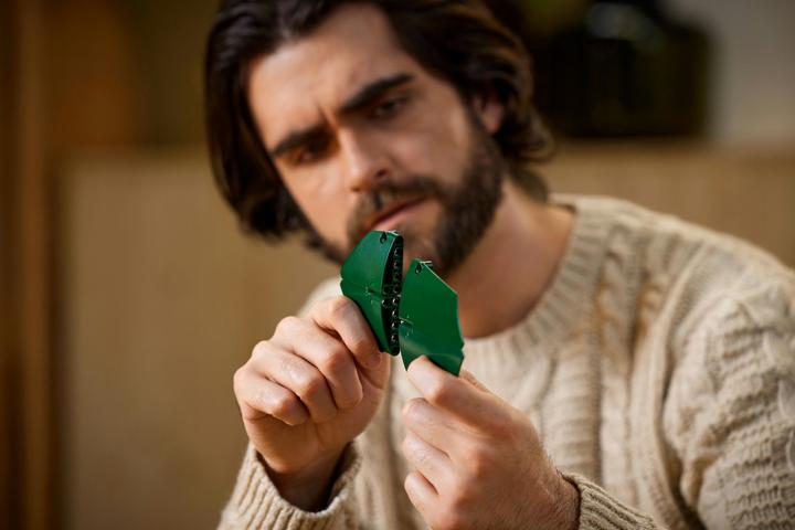Actual product image LEGO Bird of Paradise (10289, LEGO Rare Sets)