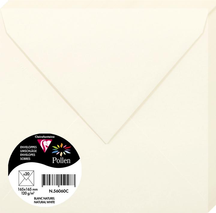 Natural White