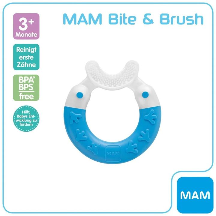 Actual product image MAM Bite & Brush