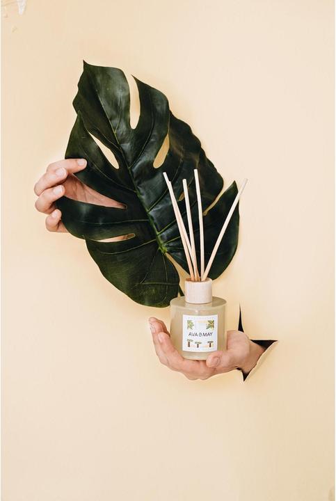 Produktbild Ava & May Duftstäbchen Madagaskar 100 ml (100 ml)