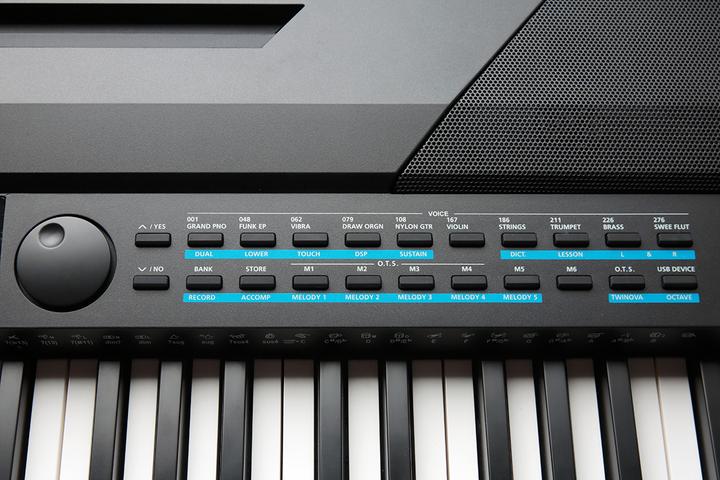 Actual product image Kurzweil KA120 (88 Keys)