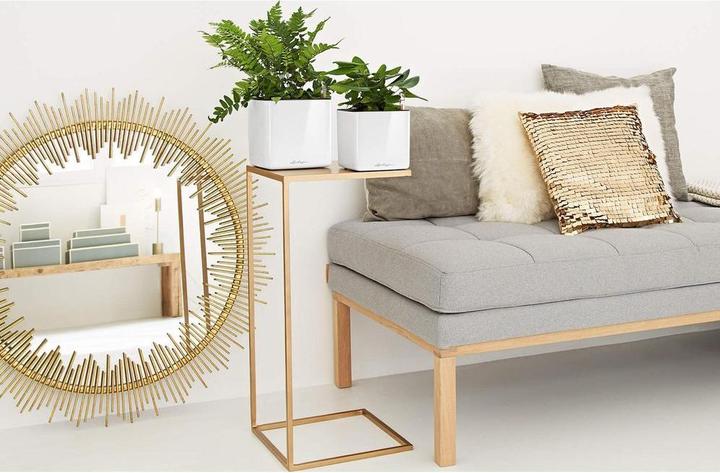 Produktbild Lechuza Cube Glossy 14 (14 x 14 x 14 cm)