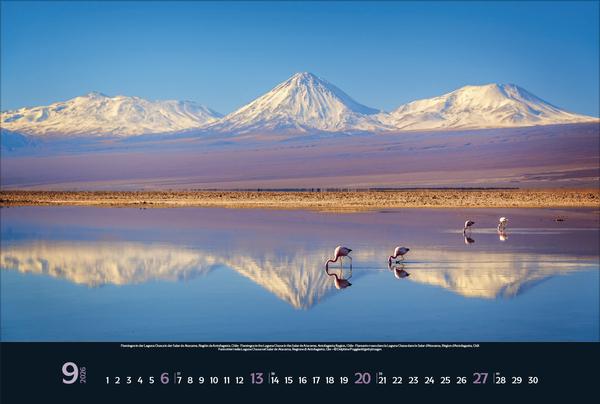 Produktbild Wilde Tiere - weite Landschaft 2026