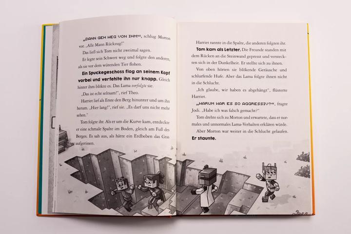 Actual product image Minecraft Erste Leseabenteuer - Monster-Alarm (German, 2022)