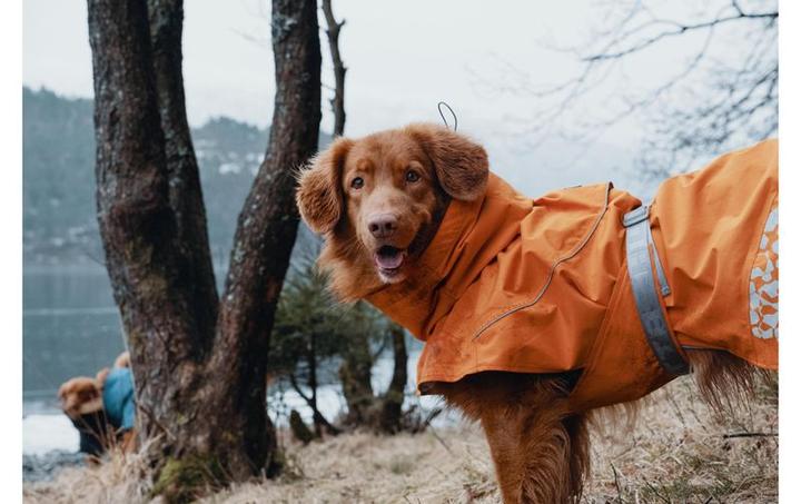 Immagine prodotto Hurtta Cappotto Monsoon Impermeabile (20, XXS, XS, Cappotto impermeabile per cani)