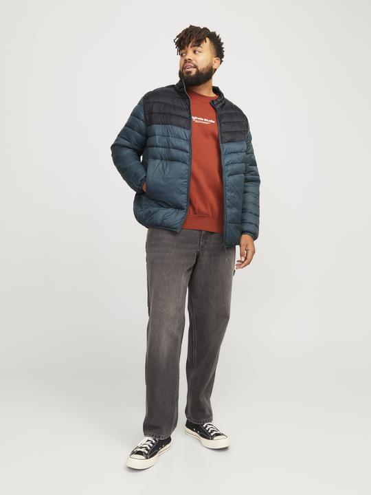 Immagine prodotto Jack & Jones Jjesprint Puffer Collar Noos Pls (3XL)