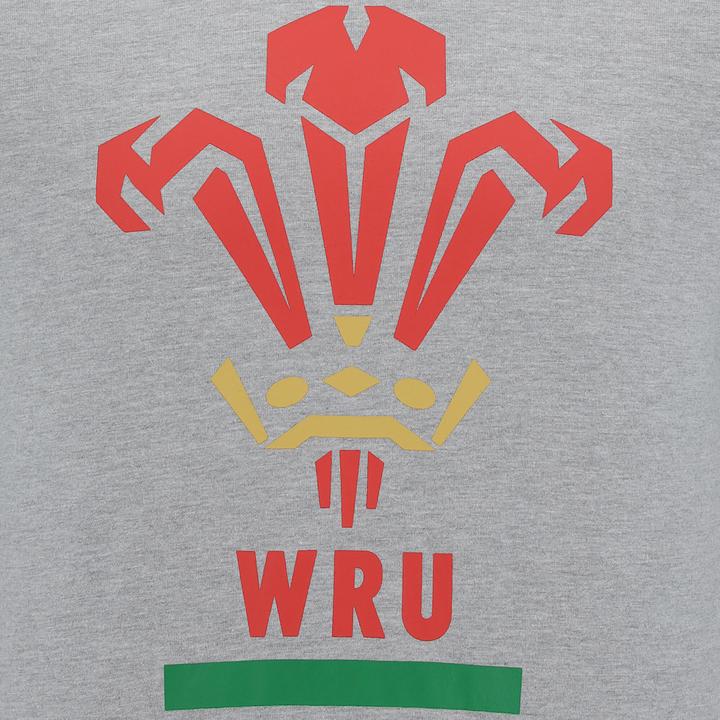 Actual product image Macron Cotton T-shirt Pays de Galles Rugby XV 2020/21 (XL)