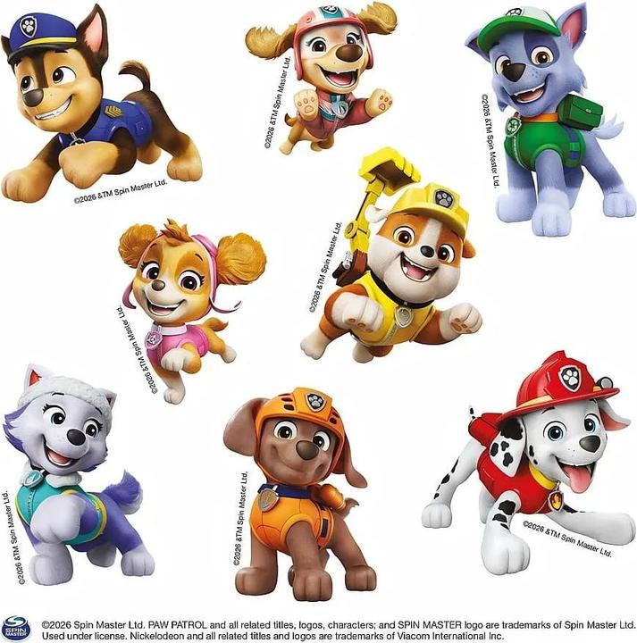 Actual product image Panini PAW Patrol: Meine grosse PAW Patrol Box (German, Panini, 2026)