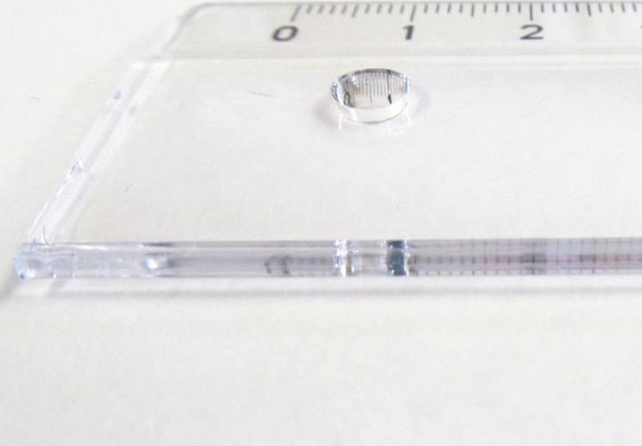 Actual product image Linex Ruler (50 cm, Plastic)