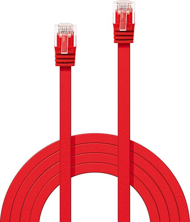 Immagine prodotto Lindy Cavo di rete (UTP, CAT6, 1 m)
