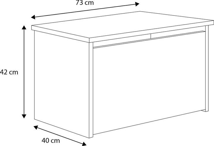 Immagine prodotto ADRK Furniture Baule dei giocattoli DARIA