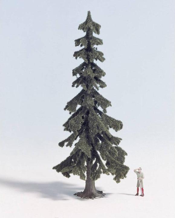 Produktbild Noch Baum Wetterfichte 130 mm 28200