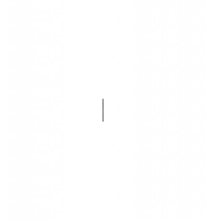 Produktbild APC Steckdosenleiste PDU AP7554, Basic