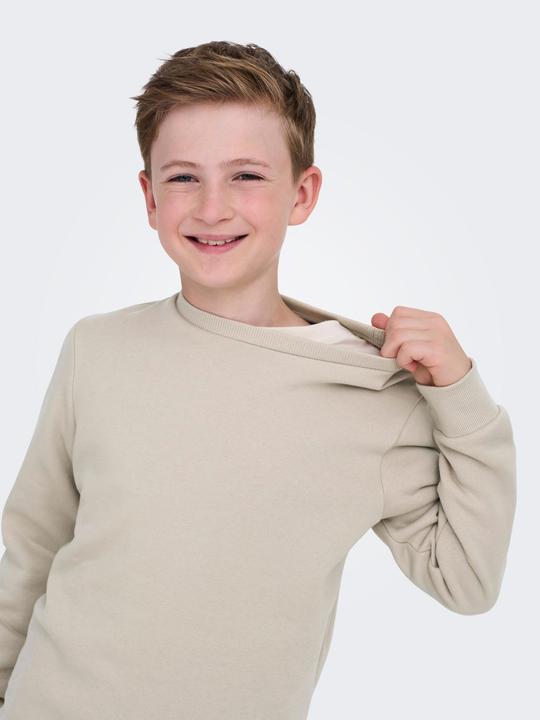 Produktbild Only & Sons Junior Osjceres Crew Neck Swt Noos (170)