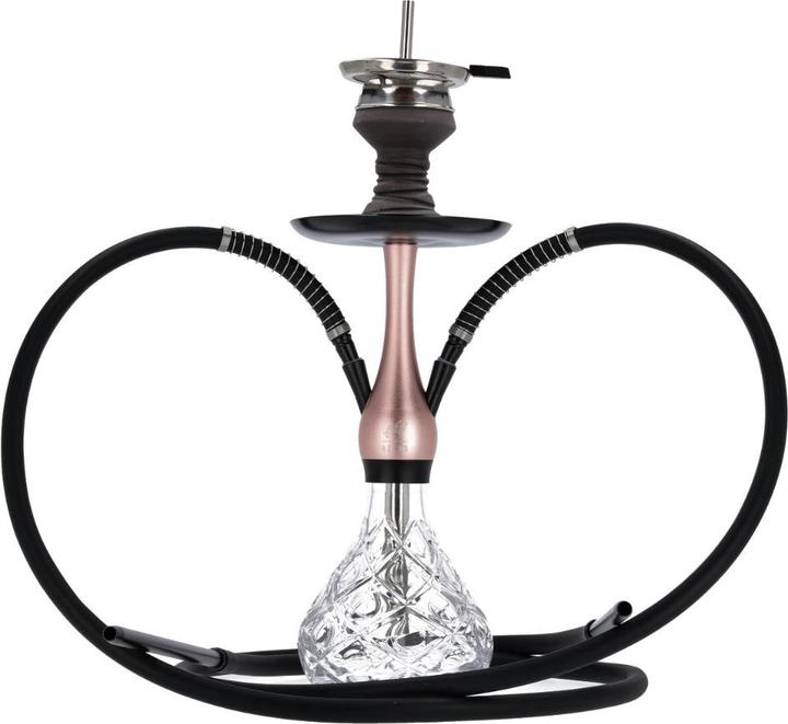 Azlan Dragon Sweet Champagne (50 cm)