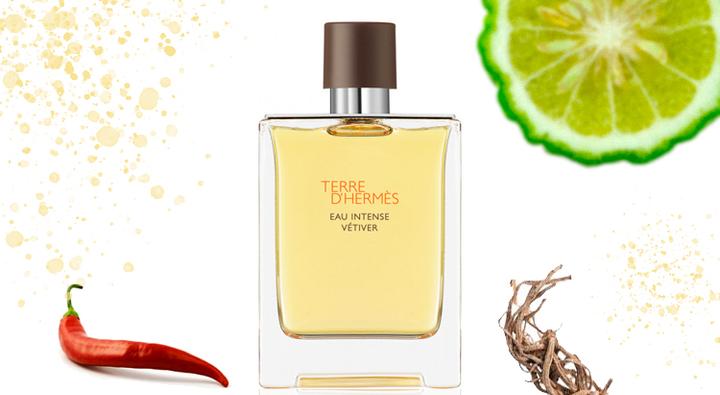Image du produit Hermès Terre D'hermes (Eau de parfum, 100 ml)