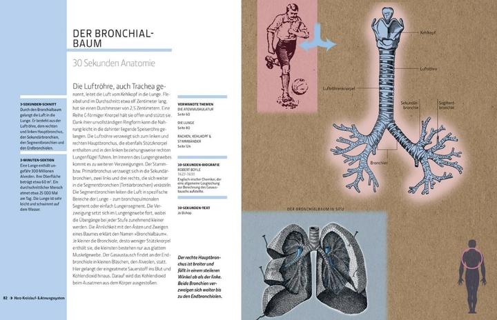 Produktbild Librero Anatomie und Medizin in 30 Sekunden (Deutsch, Gabrielle M. Finn, 2025)