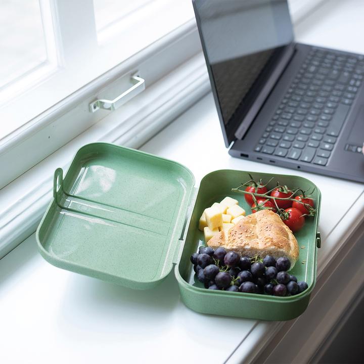 Actual product image Koziol Lunchbox Pascal L Green