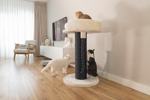 Image du produit Beeztees Tura (100 cm, Marron, Beige)