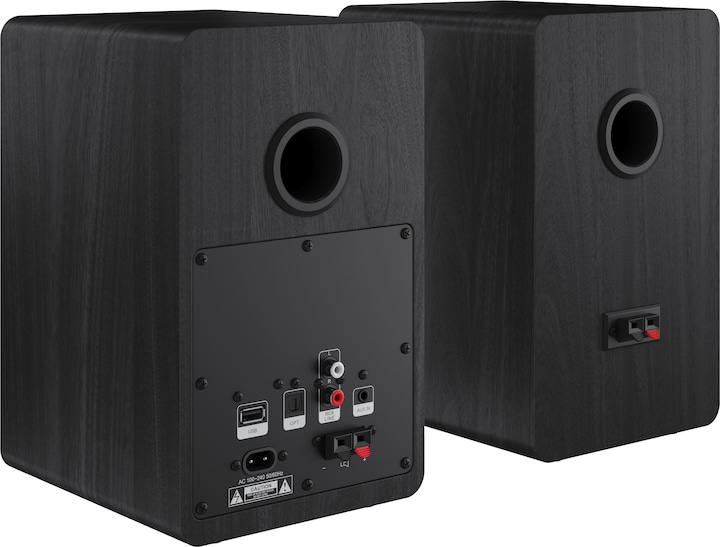 Actual product image Sharp CP-SS30 (1 pair, 60 W)