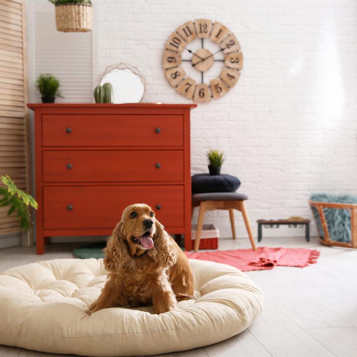 Actual product image Relaxdays Bowl stand (1 l)