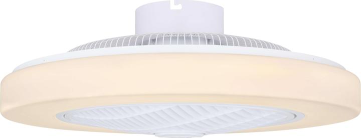 Actual product image Globo Joey