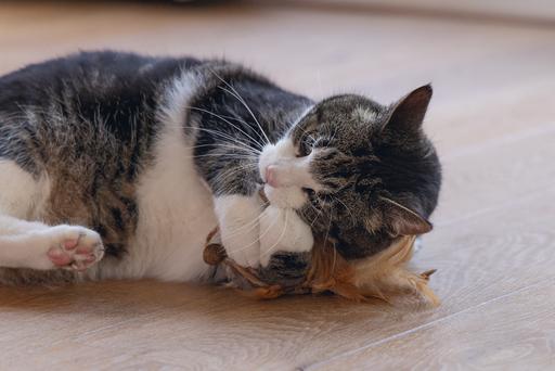 Image du produit Beeztees Katzenspielzeug Ball mit Feder (Jouets avec herbe à chat)