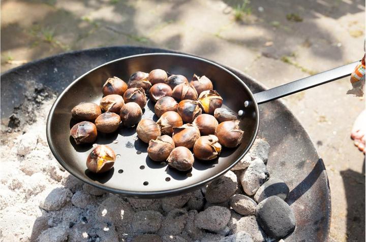 Actual product image Esschert Design Grill pan chestnuts