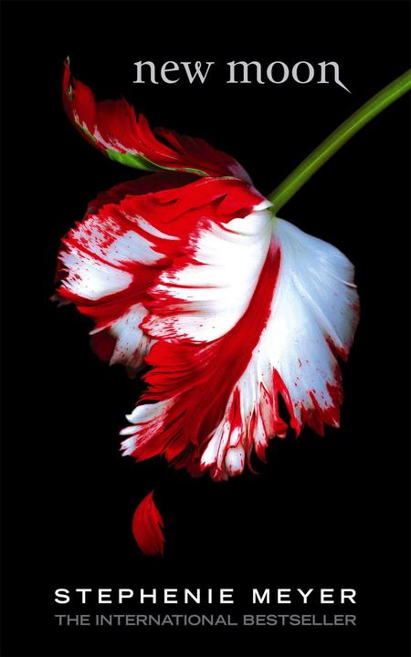 Produktbild New Moon (Englisch, Stephenie Meyer, 2007)