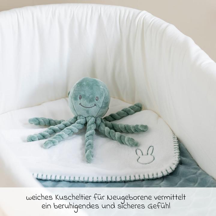 Actual product image Nattou Oktopus (23 cm)