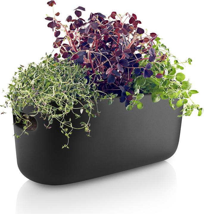 Produktbild Eva Solo Herb-Organiser (31 x 13 x 13 cm)