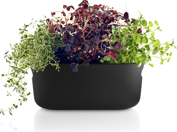 Produktbild Eva Solo Herb-Organiser (31 x 13 x 13 cm)