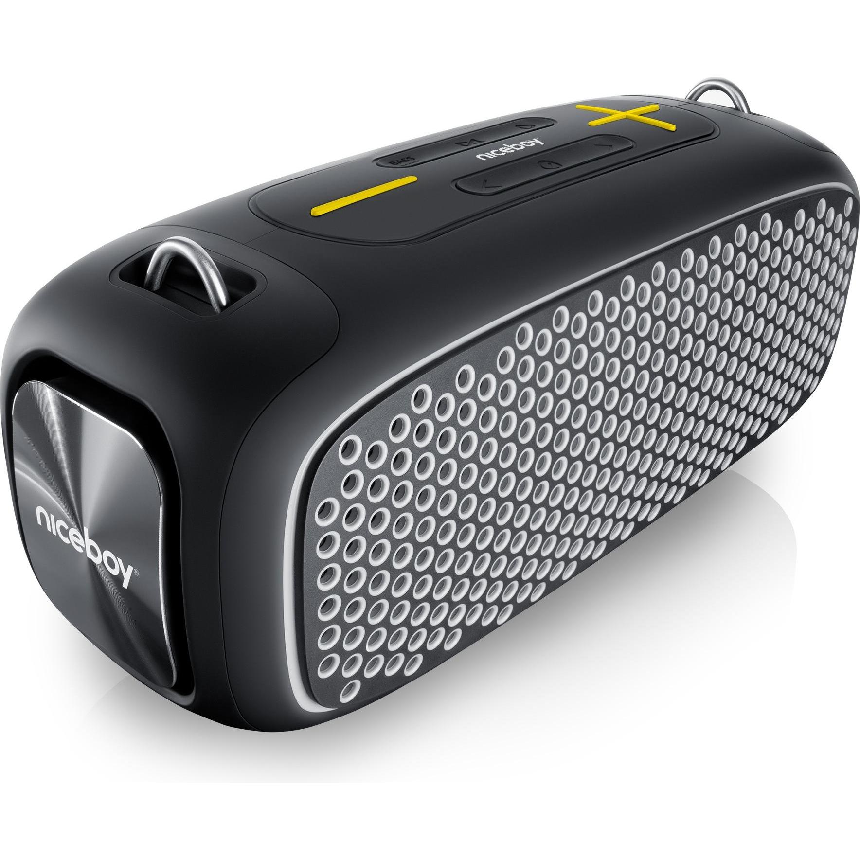Niceboy RAZE Zeus (12 h, Akkubetrieb), Bluetooth Lautsprecher, Schwarz