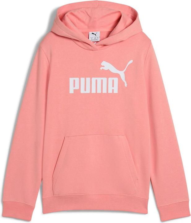 Produktbild Puma ESS No. 1 Logo Hoodie TR G (164)