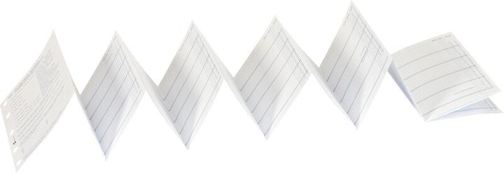 Actual product image Succes mini Tagesblätter
