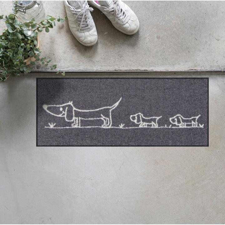 Image du produit Salonloewe Arrivée en trombe (30 x 75 cm)
