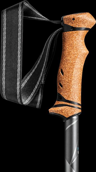 Image du produit Leki Bâtons Legacy (110 - 145 cm)