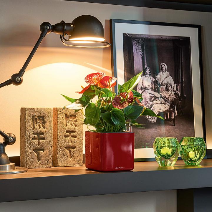 Produktbild Lechuza Cube Glossy 14 (14 x 14 x 14 cm)