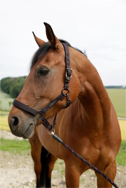 Immagine prodotto Covalliero Fondina GoLeyGo 20