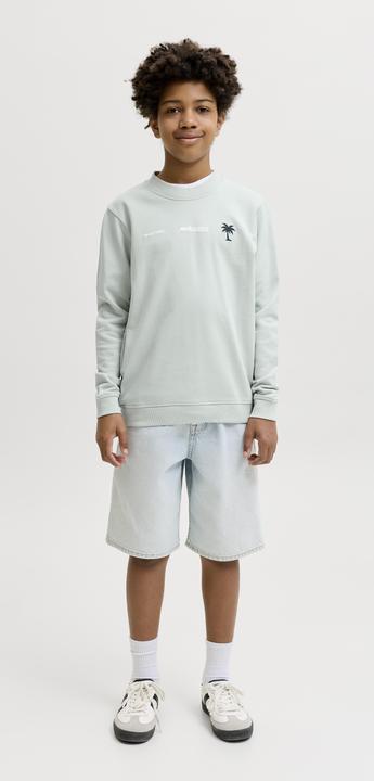 Produktbild Jack & Jones Junior Pullover CLUB SUMMER Sweatshirt (152)
