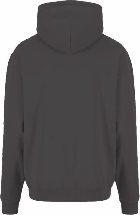Actual product image Prortx Mens Hoodie (S)