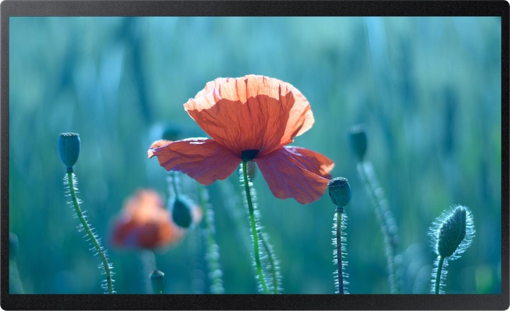 Image du produit Samsung QB24R-B (1920 x 1080 pixels, 24")