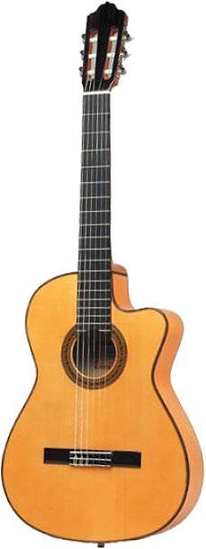 Actual product image Esteve 5FCE (Semi acoustic guitar, Spruce, Rosewood)