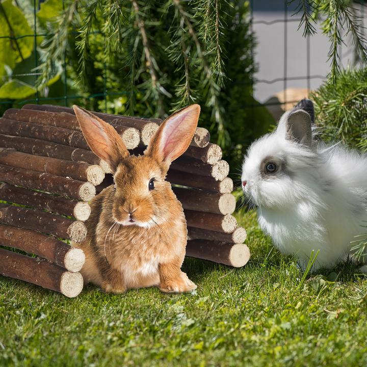 Actual product image Relaxdays Rodent bridge wood