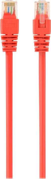 Immagine prodotto Gembird Cavo patch (UTP, CAT5e, 3 m)