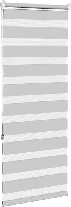 Produktbild vidaXL Zebra-Jalousie (60 x 150 cm)