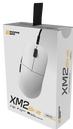 Actual product image Endgame Gear XM2 8k (v2) - Wired Gaming Mouse - White (Cable)